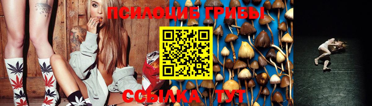 Гулькевичи  Галлюциногенные грибы Cubensis  Вход с VPN 