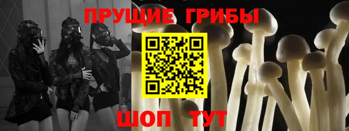 Псилоцибиновые грибы мицелий Гулькевичи