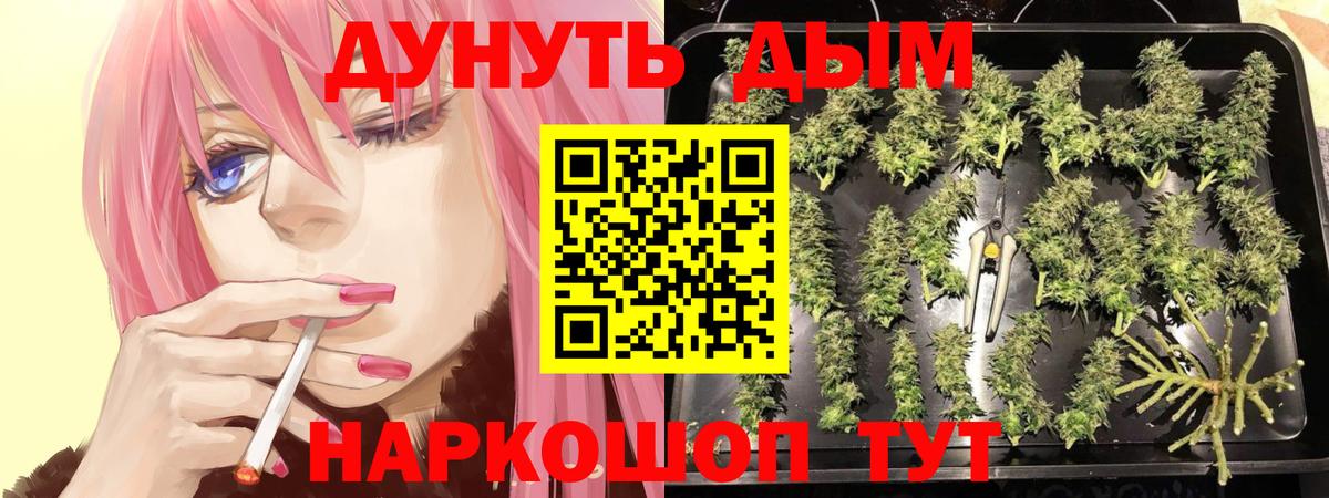 Каннабис  Вход с VPN  Мефедрон кристаллы  Гулькевичи  Гашиш  Кокаин 